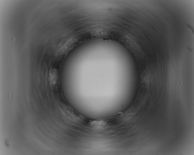 X0000103460133200809121612