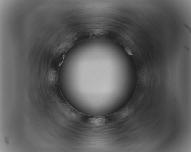 X0000103460135200809121612