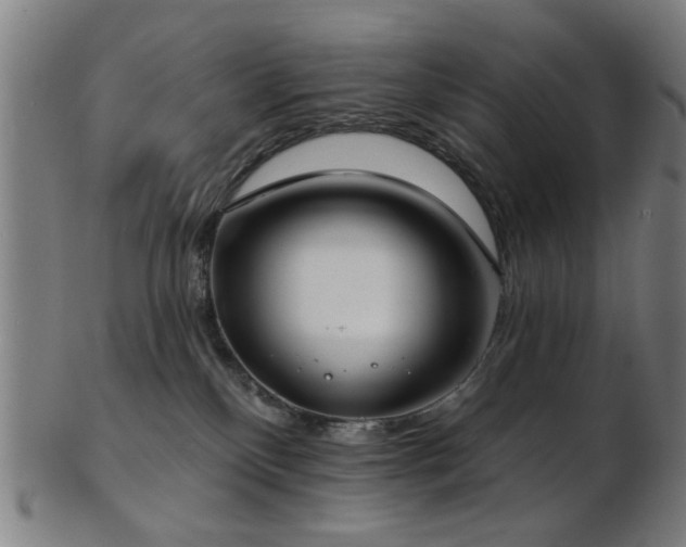 X0000103460136200809121612