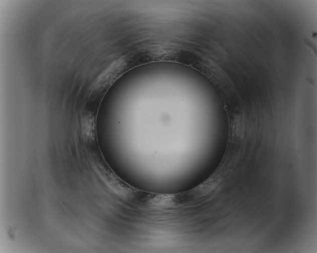 X0000103460138200809121612
