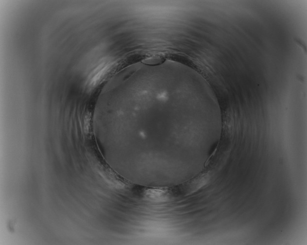 X0000103460139200809121612
