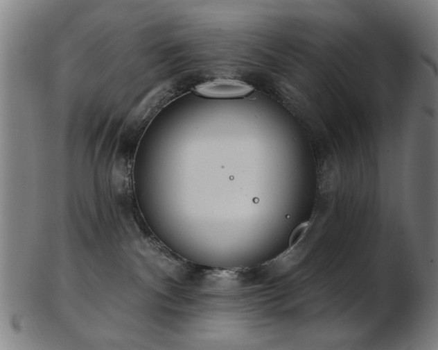X0000103460140200809121612