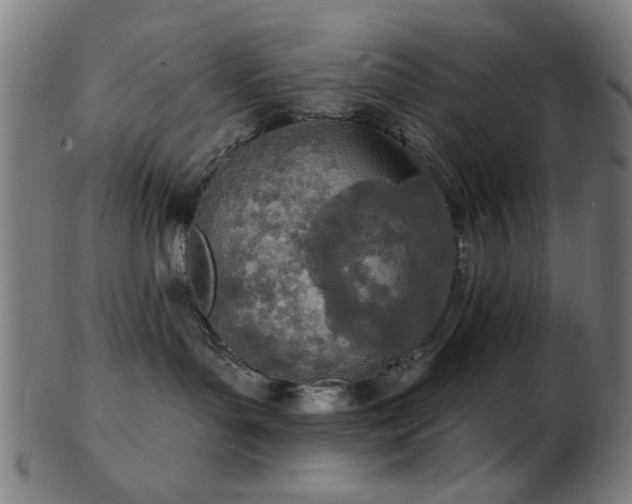 X0000103460143200809121612