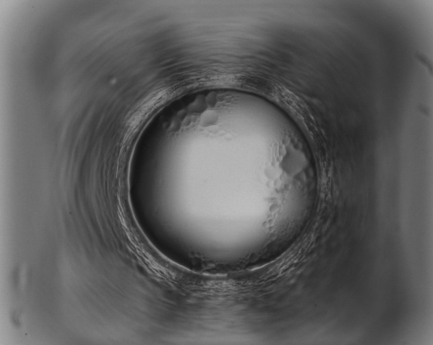 X0000103460145200809121611