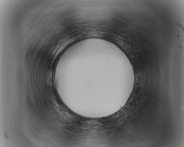 X0000103460146200809121611