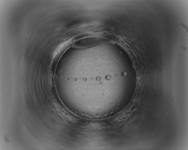 X0000103460149200809121611