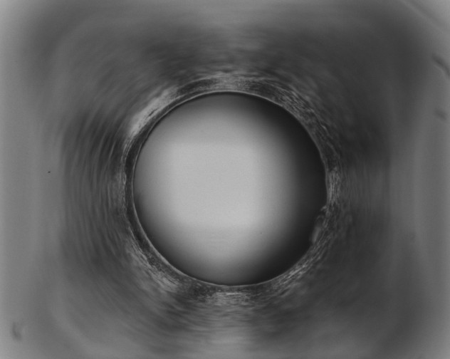 X0000103460150200809121611