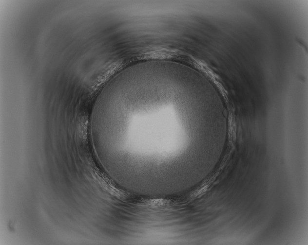 X0000103460153200809121611