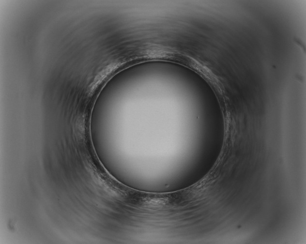 X0000103460155200809121611