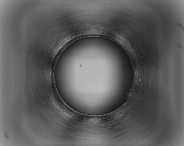 X0000103460156200809121611