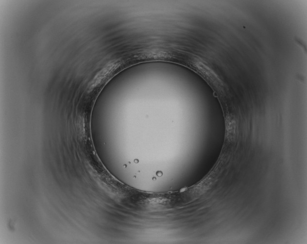 X0000103460158200809121611