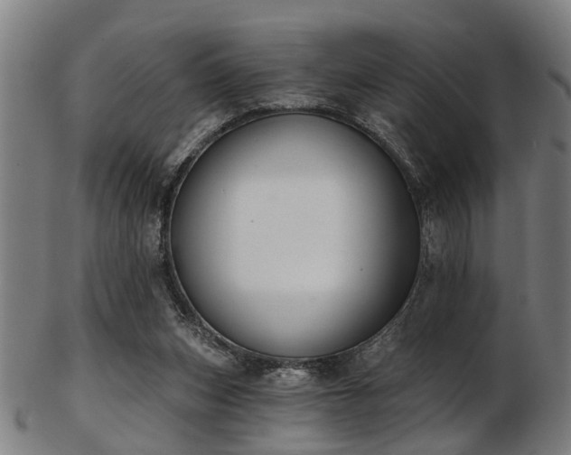 X0000103460159200809121611