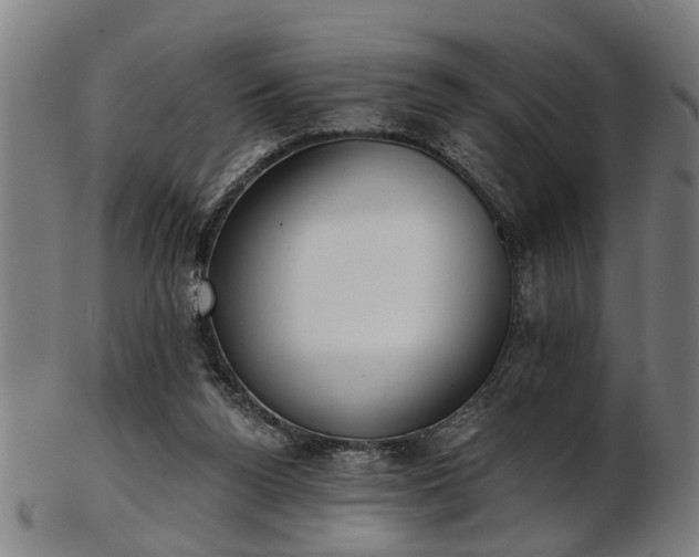 X0000103460160200809121611