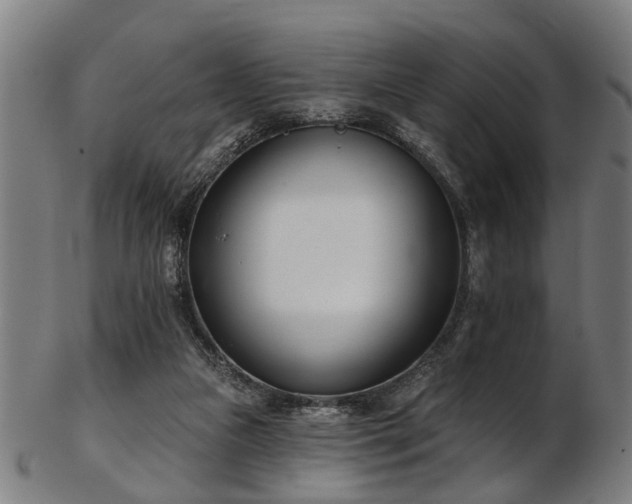 X0000103460161200809121611