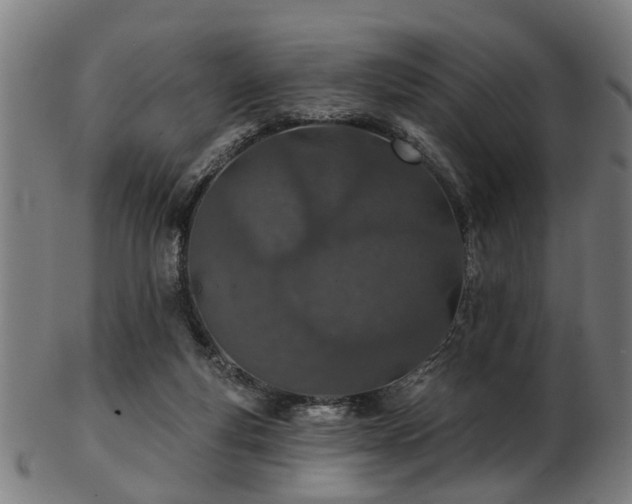 X0000103460163200809121611