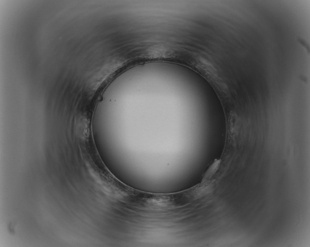 X0000103460164200809121611