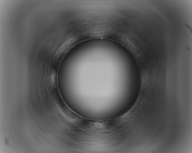 X0000103460166200809121611