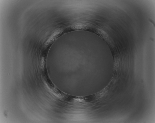 X0000103460167200809121611