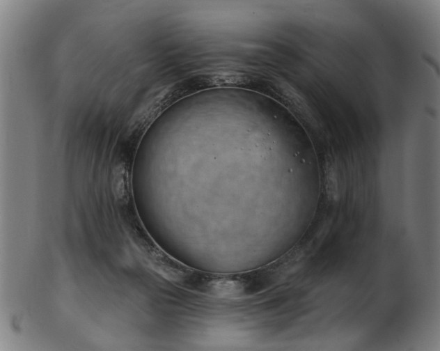 X0000103460169200809121611