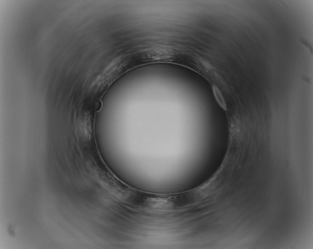 X0000103460170200809121611