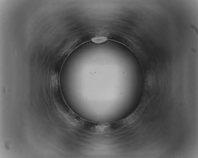 X0000103460172200809121611