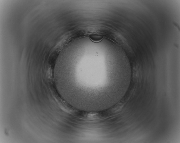 X0000103460173200809121612