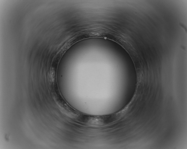 X0000103460174200809121612
