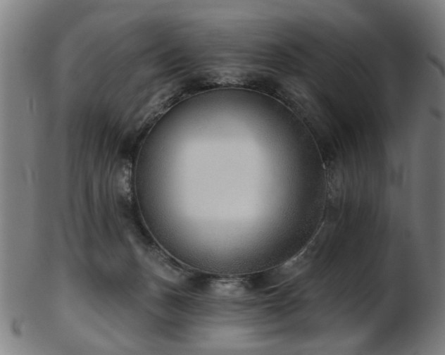 X0000103460175200809121612