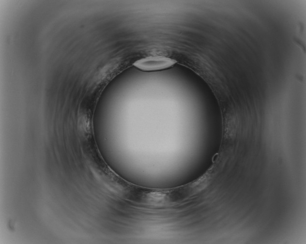 X0000103460176200809121612