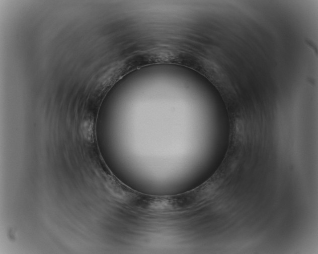 X0000103460177200809121612