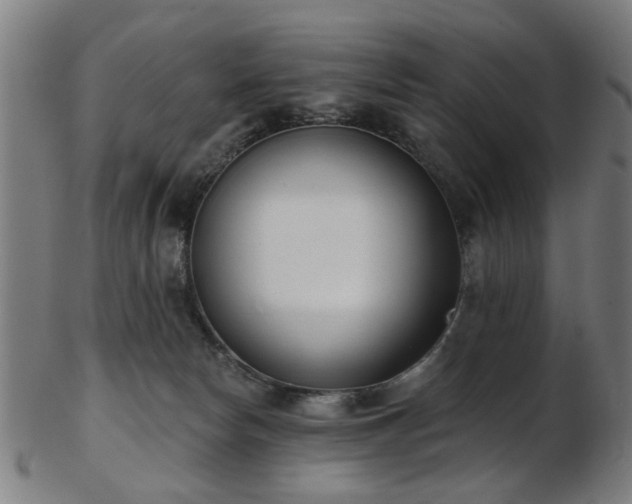 X0000103460178200809121612