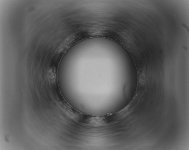 X0000103460179200809121612