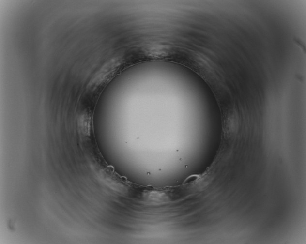 X0000103460180200809121612