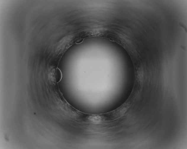 X0000103460181200809121612
