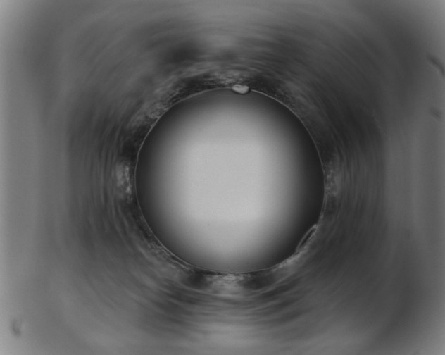 X0000103460182200809121612