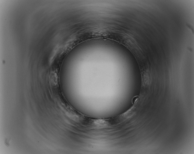X0000103460183200809121612