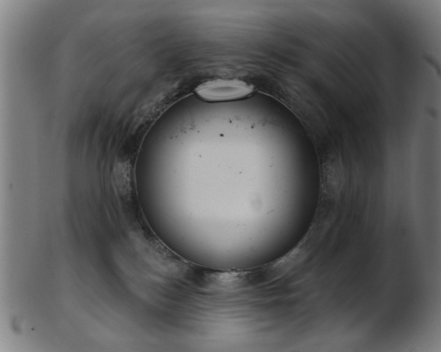 X0000103460184200809121612