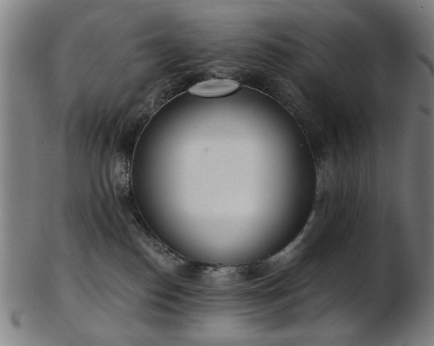 X0000103460186200809121612