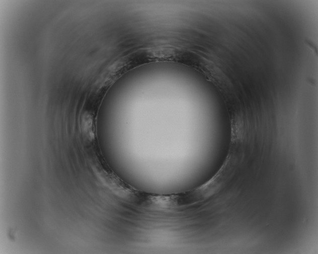 X0000103460187200809121612