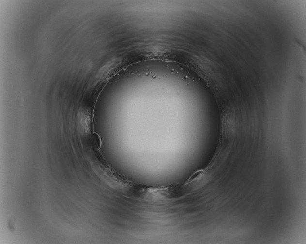 X0000103460188200809121612