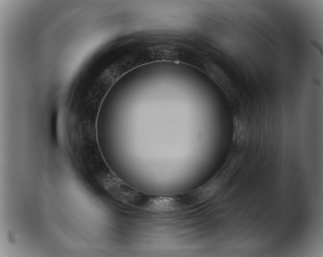 X0000103460189200809121612