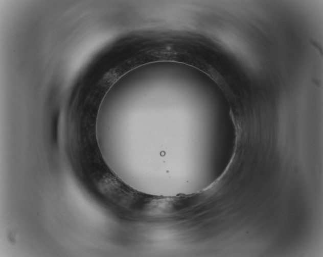 X0000103460190200809121612
