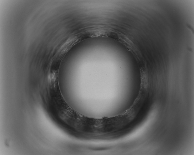 X0000103460191200809121612