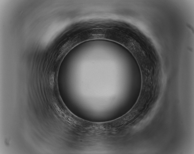 X0000103460194200809121611