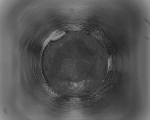 X0000103460195200809121611