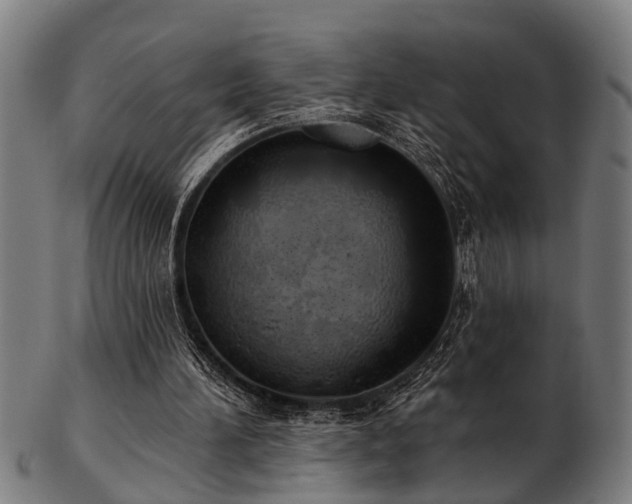 X0000103460196200809121611