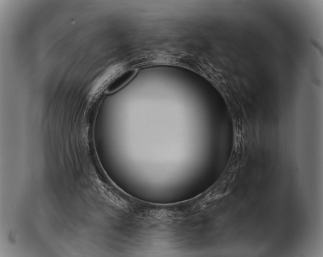 X0000103460197200809121611