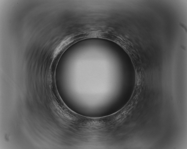 X0000103460198200809121611