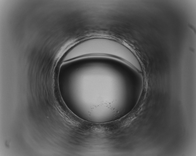 X0000103460199200809121611