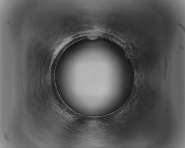 X0000103460200200809121611